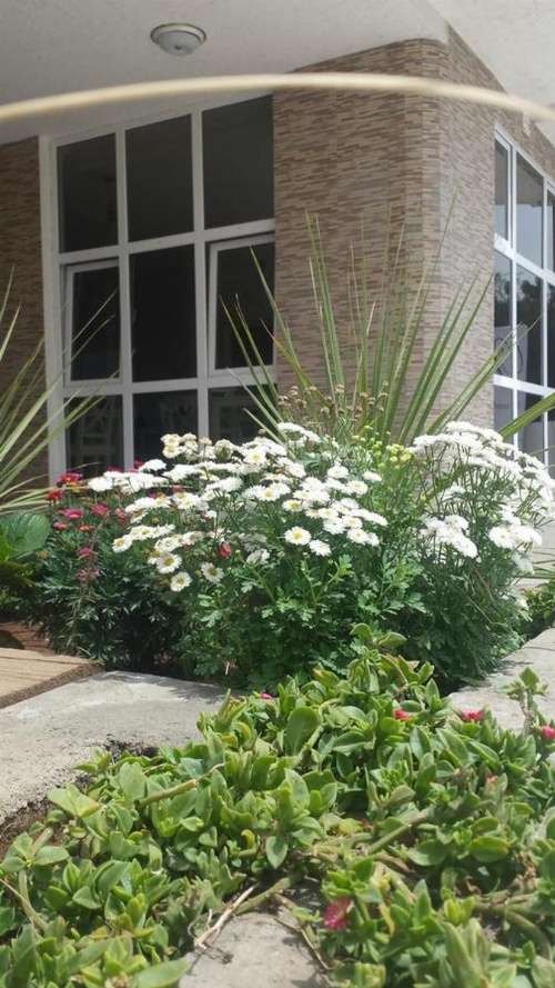 White House Addis Hotel image 42